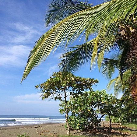 Guava Lodge Playa Matapalo Екстер'єр фото