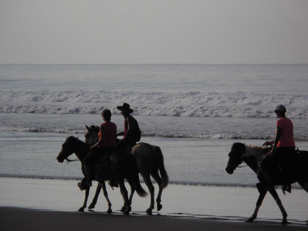 Guava Lodge Playa Matapalo Екстер'єр фото