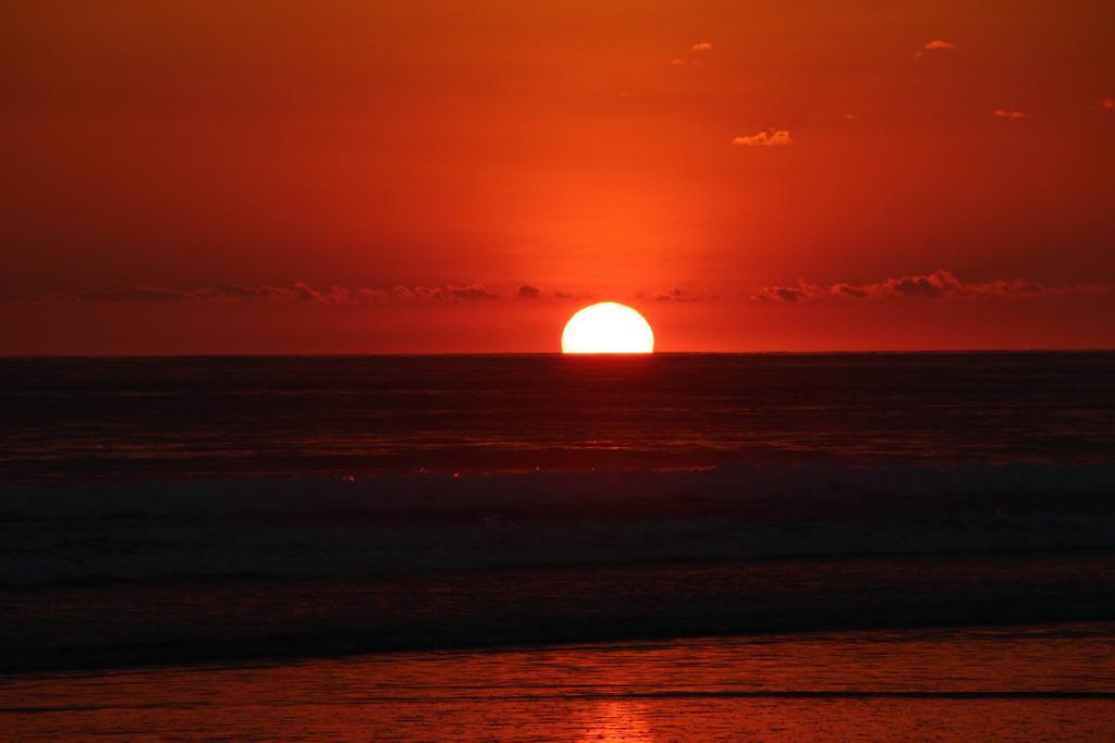 Guava Lodge Playa Matapalo Екстер'єр фото